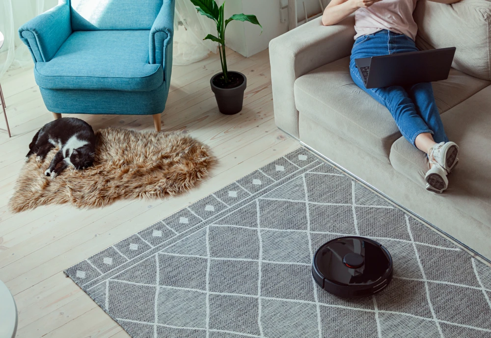robot vacuum cleaner with smart mapping system